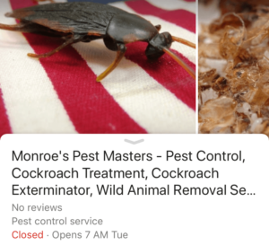 pest-control-Google-My-Business-Spam
